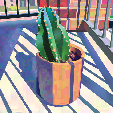 norman the cactus print